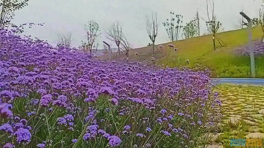 conew_qqͼ20250516232750.jpg
