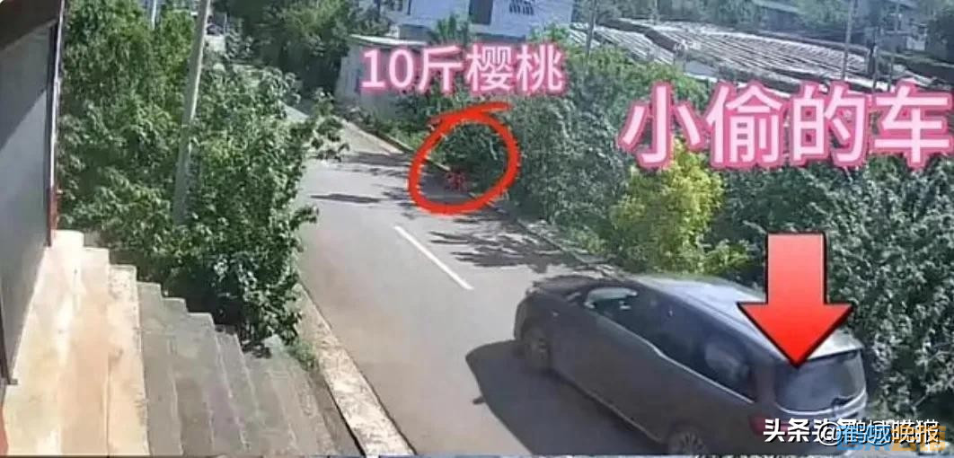 411448dd267f4691bd094e733d0281b4~tplv-tt-origin-web_gif.jpeg