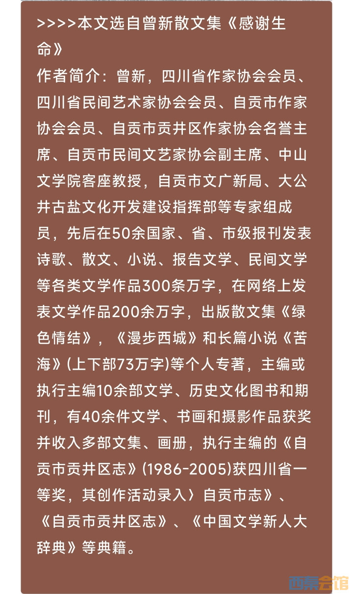 20250612082848front2_0_1552271_Fp6DhmC1Q6r1xPxj8NhgmlWCWKxA.jpg