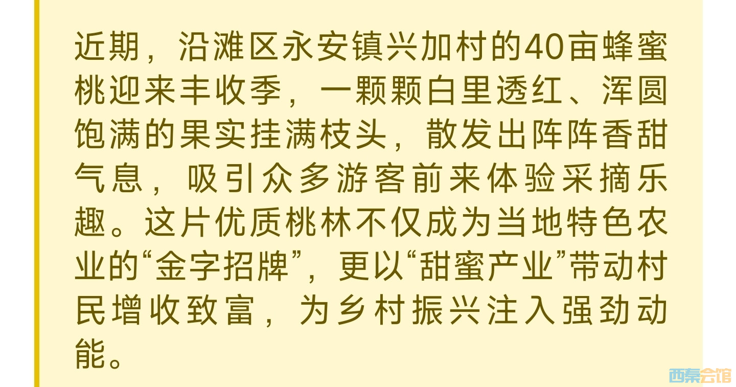 20250612095904front2_0_1552271_Fv4vafQafIFfaSoBq583CuIjSFYS.jpg