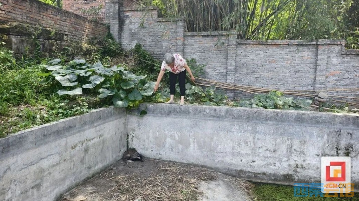 ΢Žͼ_20250616162600.png