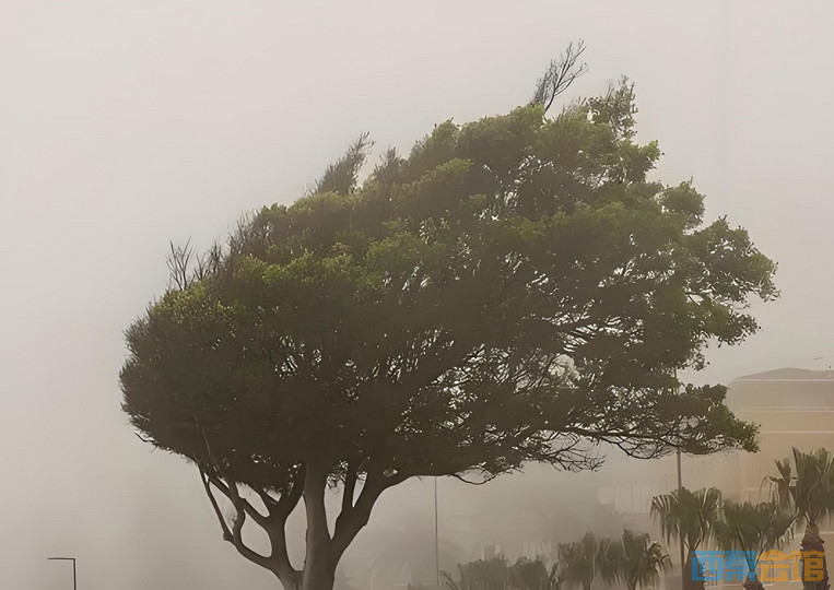 ΢Žͼ_20250618144224.png