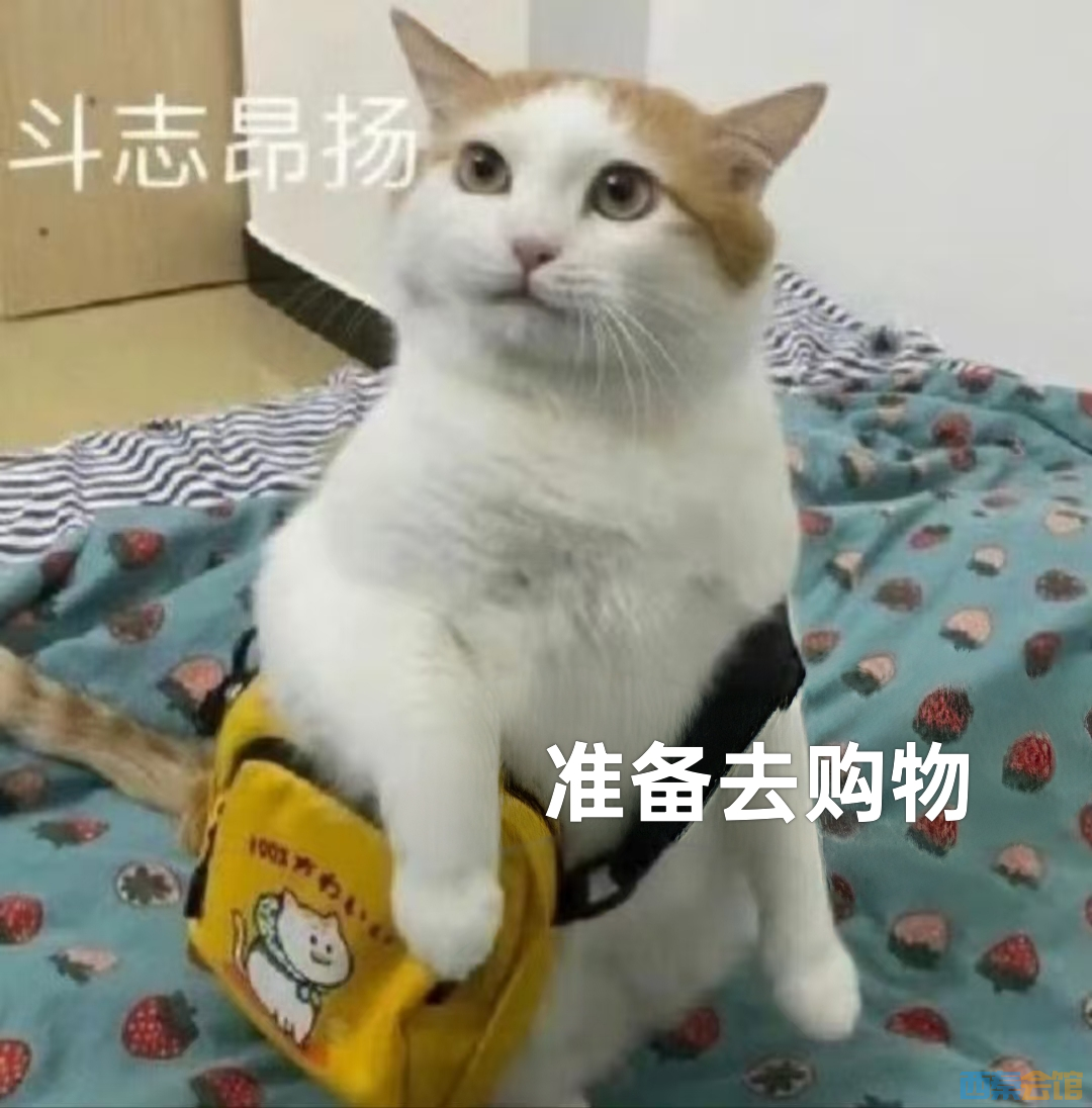 13.png