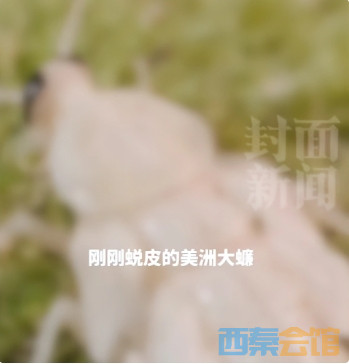 ΢Žͼ_20250619163500.png