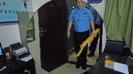 71.gif