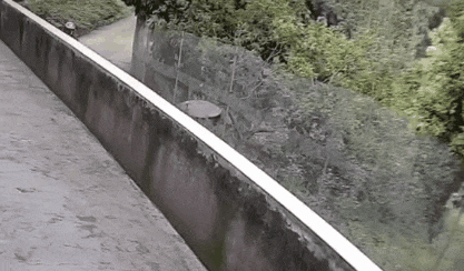 1.gif