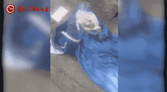 4.gif