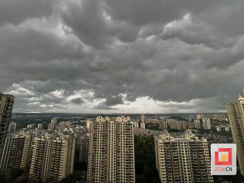 20250723222933front2_0_1552271_Fr96fjp6cSXfcyuYDc1ck8Lqwil0.jpg