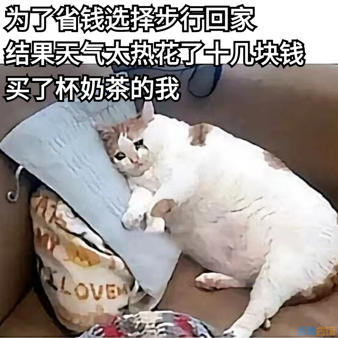 13.png