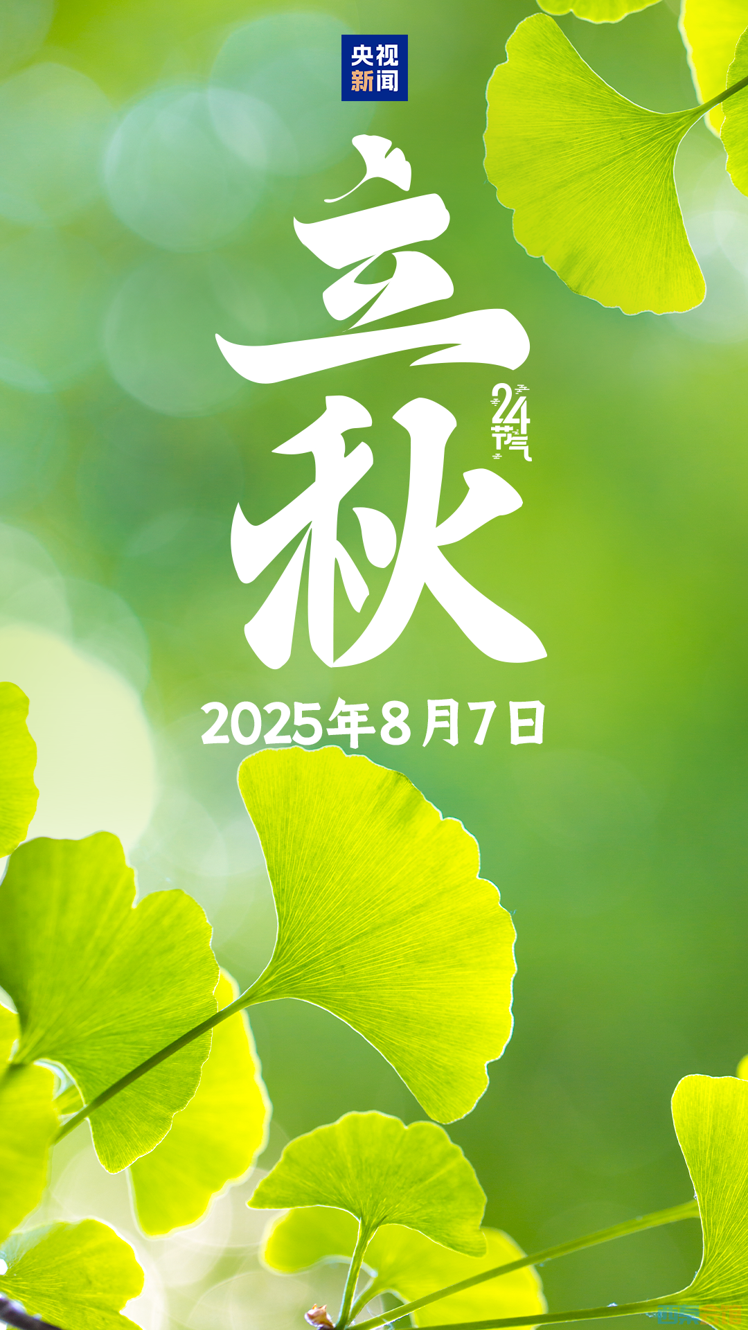 20250807092558front2_0_1555385_FiuxfWOLc21lP71o8Q7d7aKdrrQd.png
