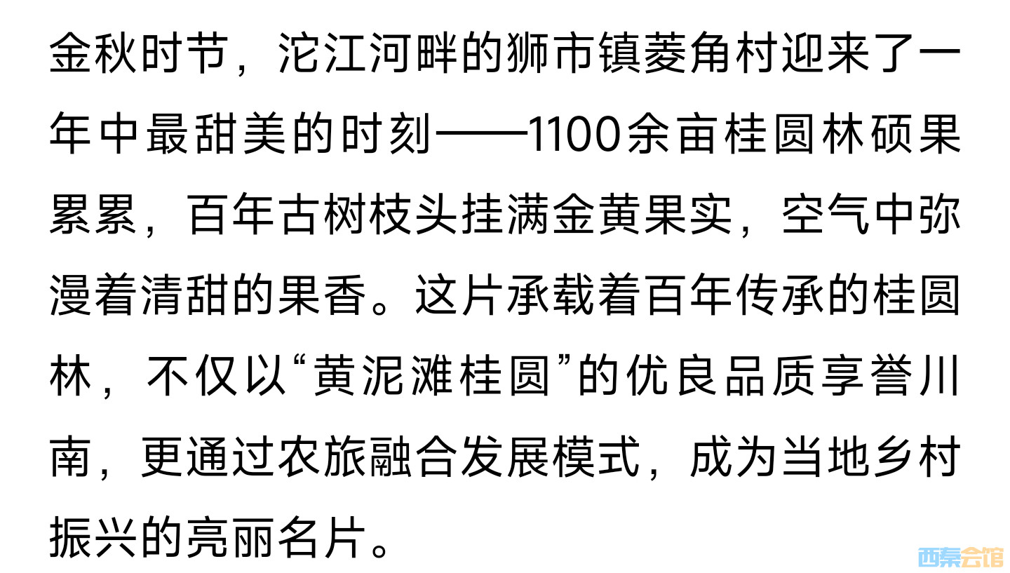 20250828113306front2_0_1552271_FqJg-rYZf-nbt_A_W9UEODZ4E11q.jpg