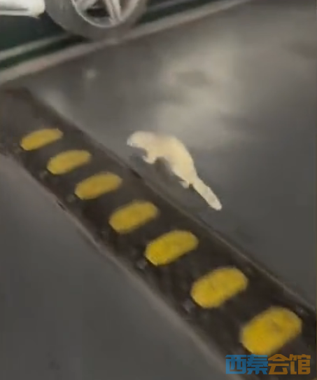 33.png