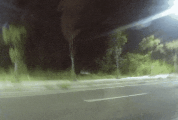 8.gif