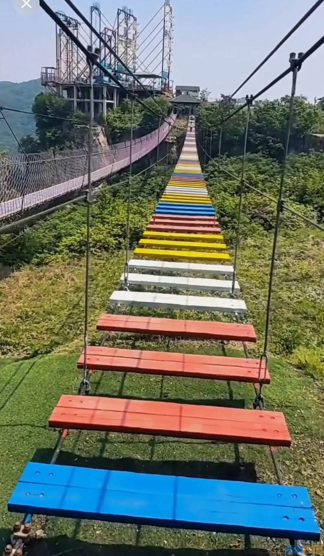 62.jpg