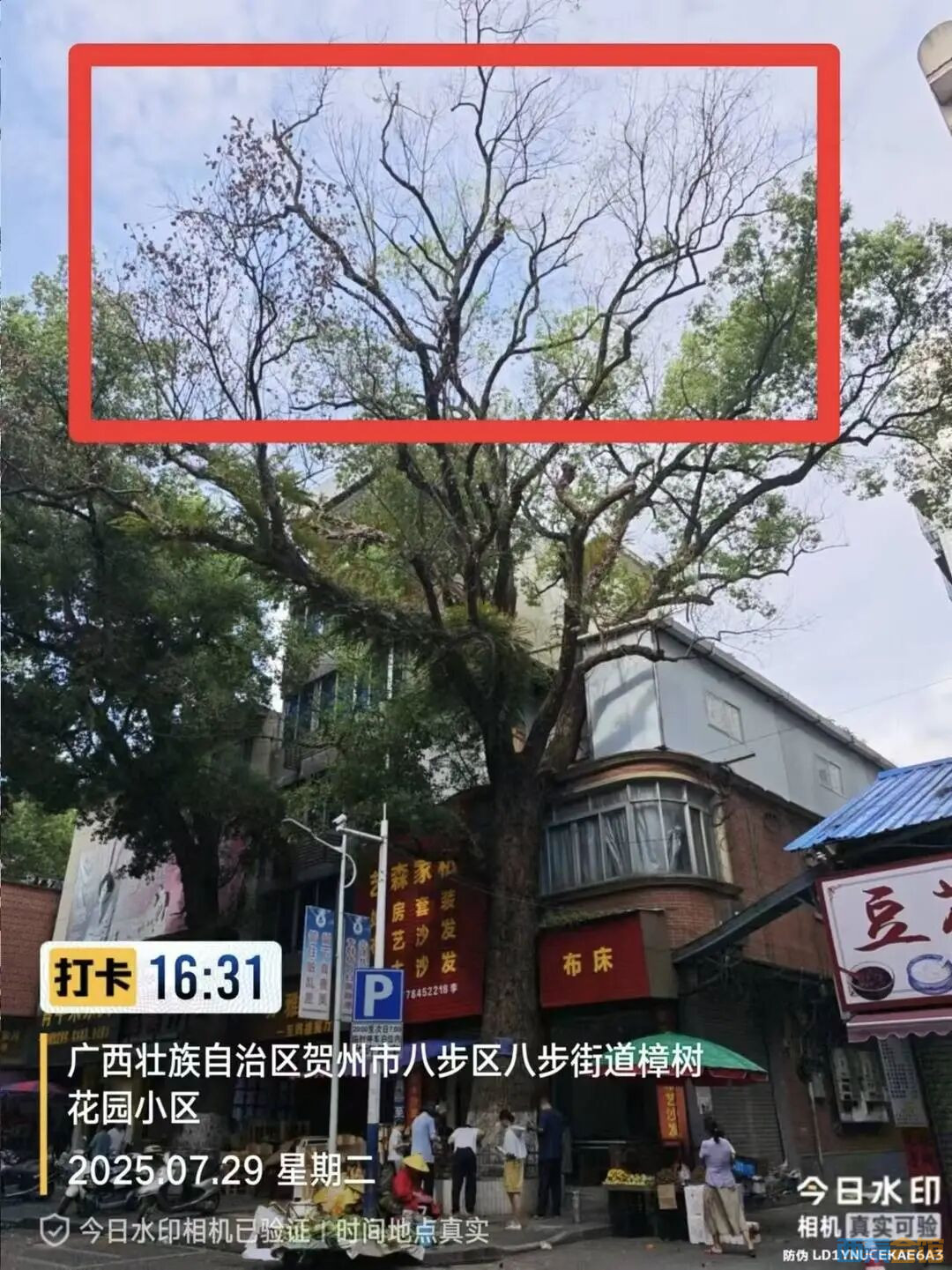 63.jpg