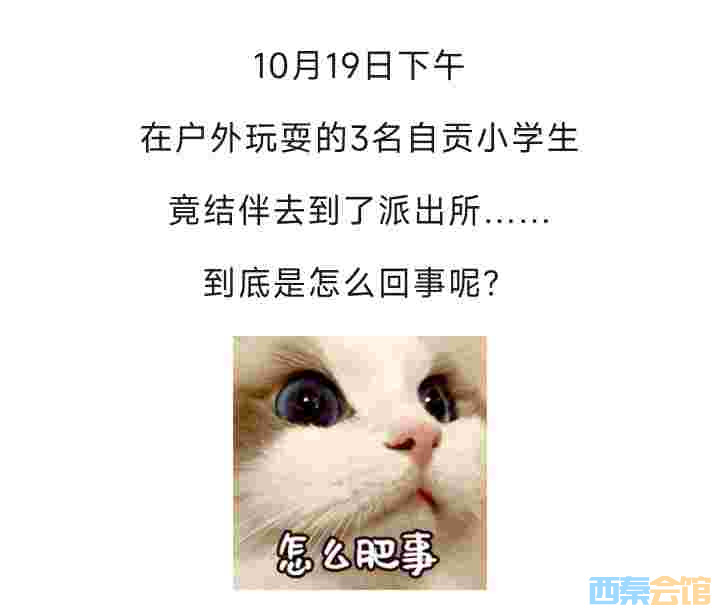 20251022160905front2_0_1552271_FmksTGdgGgVg038r93W9EQw4rkZP.jpg