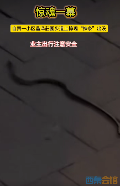 21.png