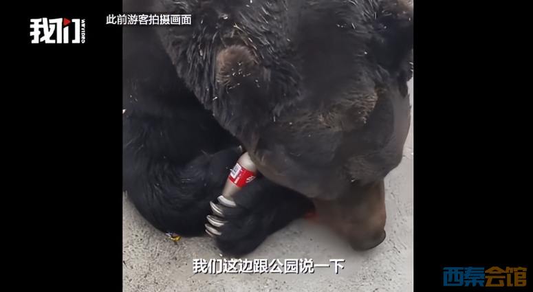 ScreenShot_2026-05-13_144941_700.png