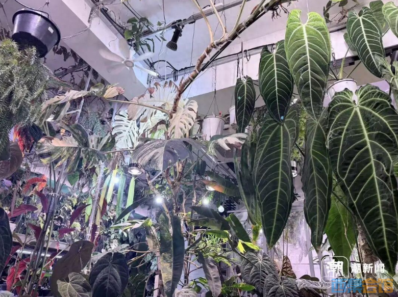 ScreenShot_2026-05-18_162742_095.png