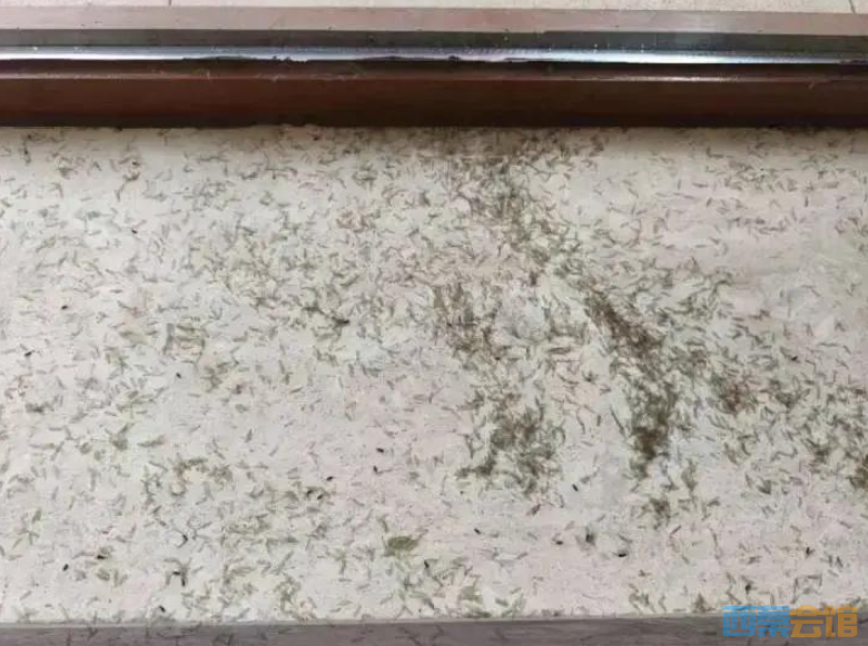 ScreenShot_2026-06-08_155350_508.png
