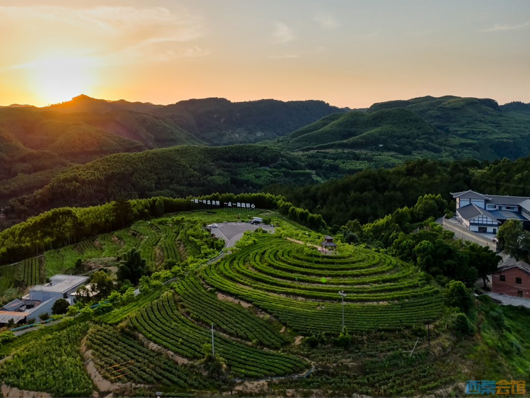 10.png