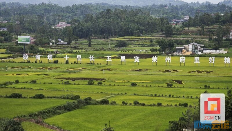 20260811110242front2_0_1552271_FvIsuimhnJbS-7DsTLuoYW6GpySs.jpg