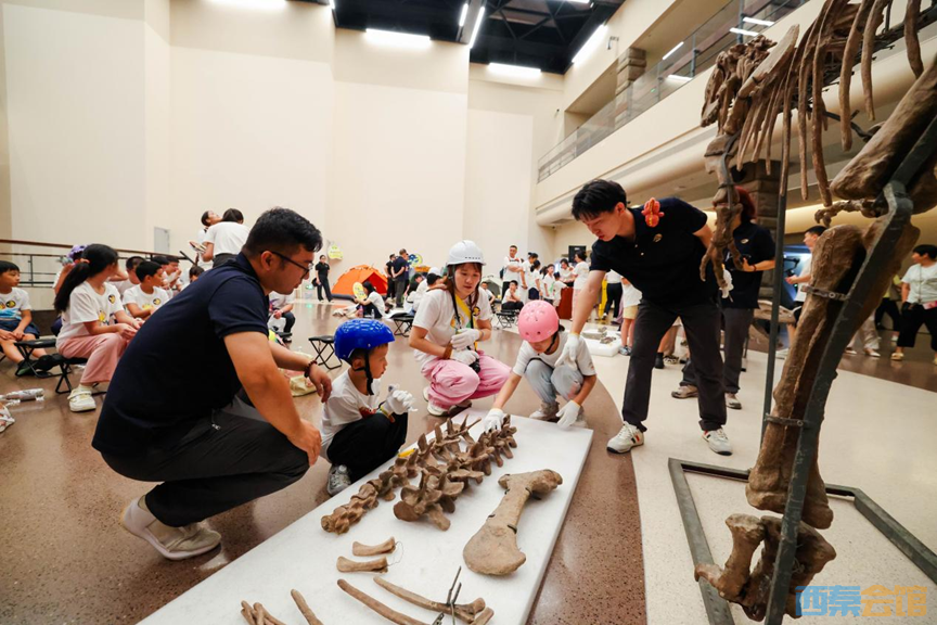 25.png