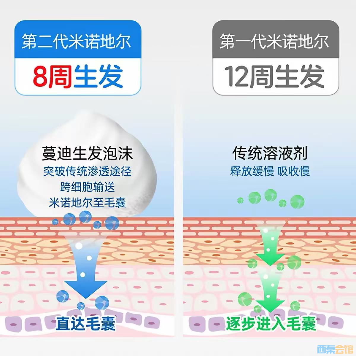 ͼƬ11.png