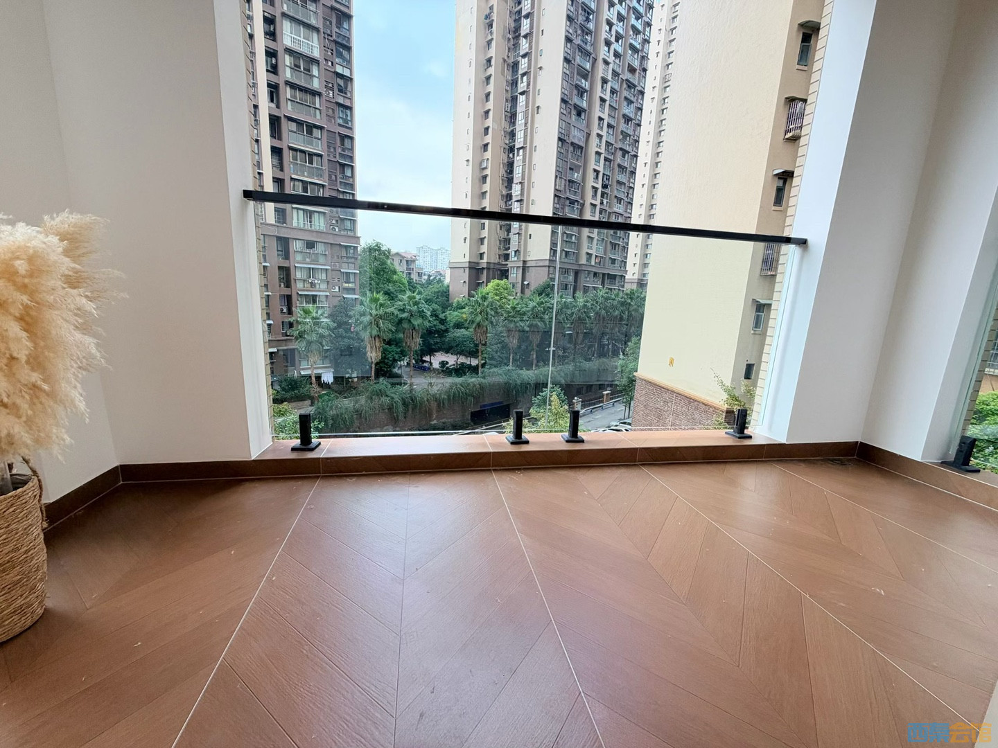 20261017075305front1_0_1569356_FiWHOCfg9FtgGeg-XX1ZkCJWFHmM.jpg