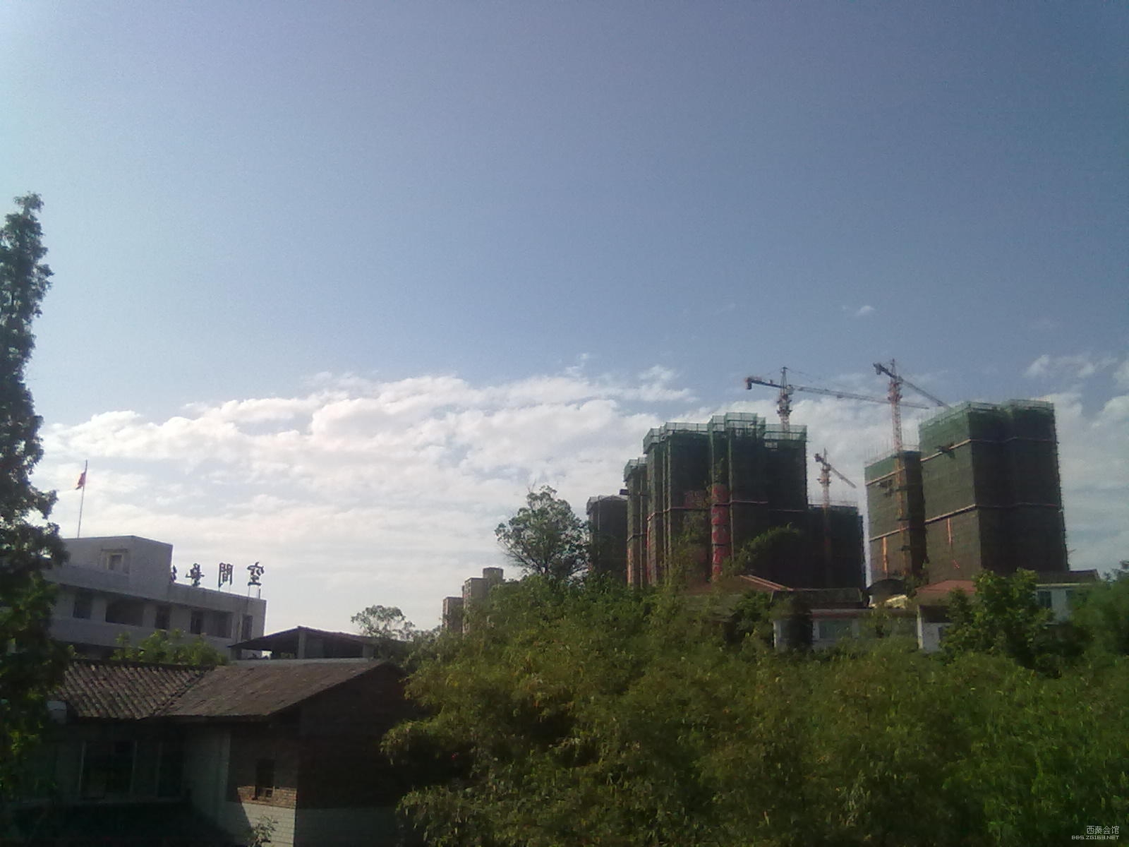 6_438214_7ed061abd1496b8.jpg