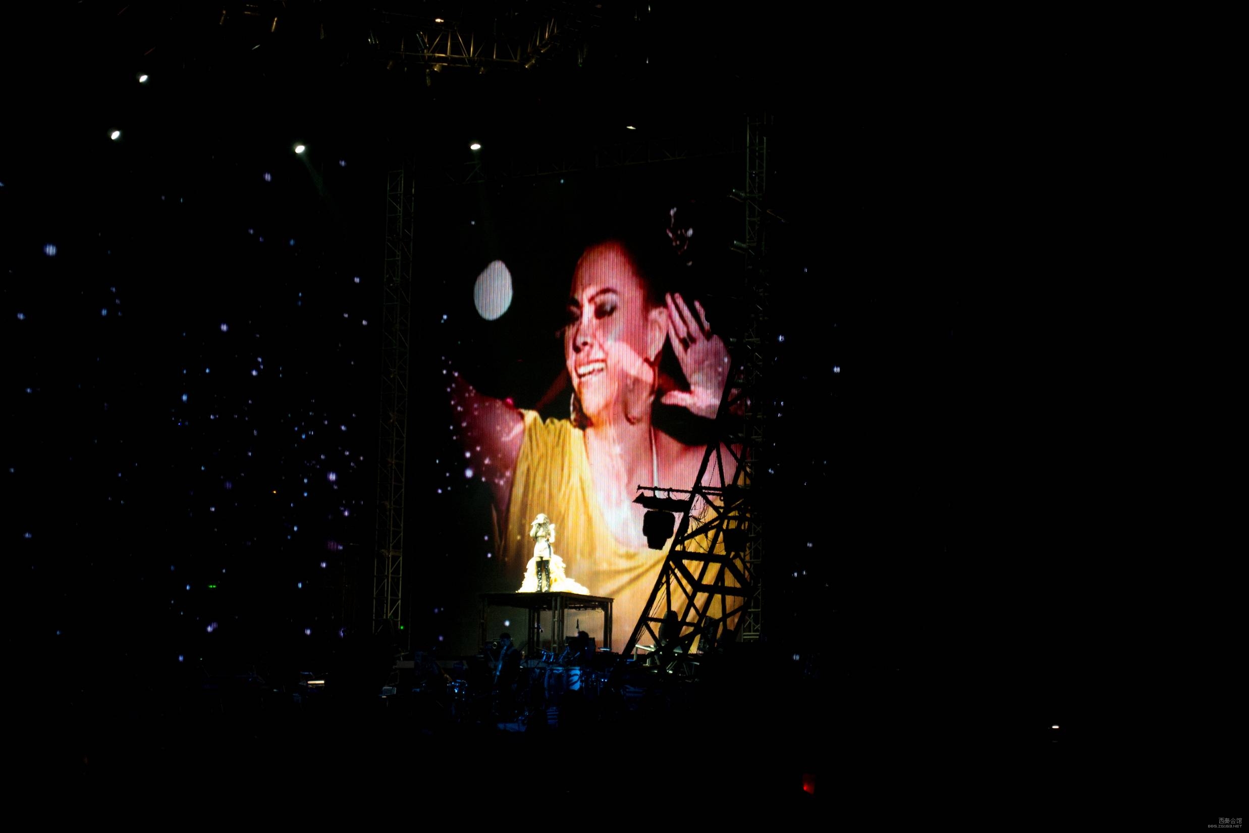 6_543640_e8b9674d11a068e.jpg