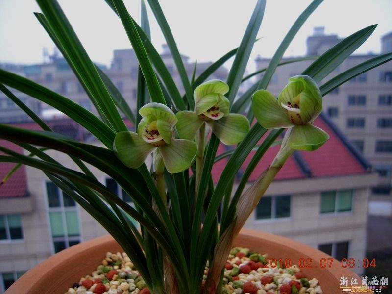 风雨同行户外群观大脚仙徒步庙坝镇