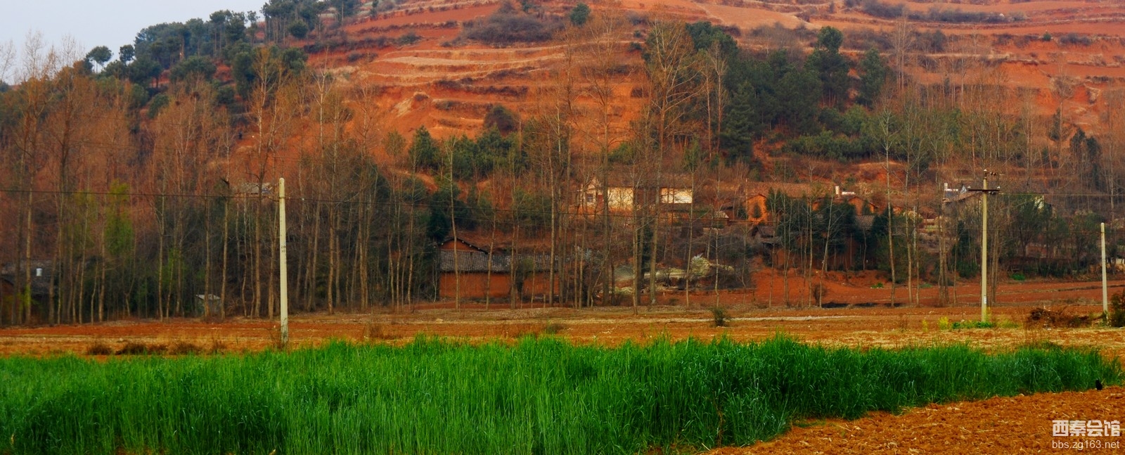 路上的风景——会泽念湖,昭通大山包-西秦会馆 - 自贡在线