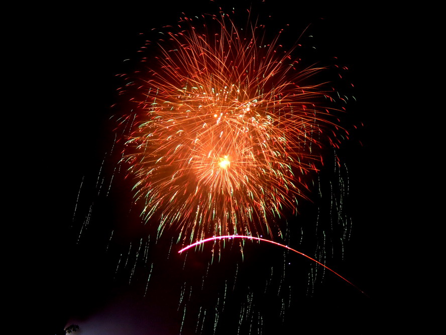 20080208_629121548d68369d0c50SCS2UbTca8Tx.jpg