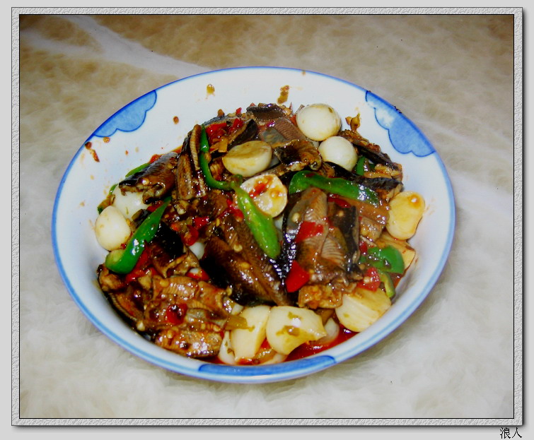 20080403_4c5389e2b8331540cd7dQazxj56dHoe9.jpg