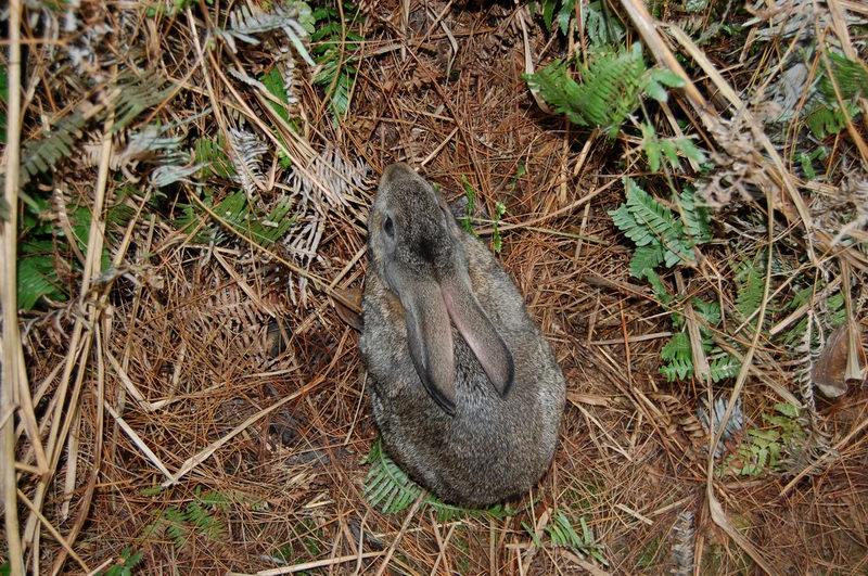 自驾永川狩猎回来了,费用一览,pp陆续更新中