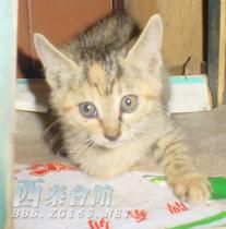 20091003_21f93dc66d5693b67678Mb2wFk9vPJcL.jpg