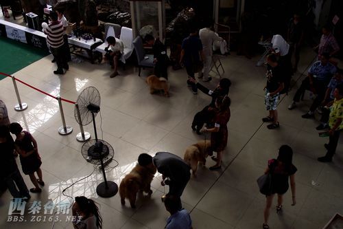 20100921_2d1a54fa37e898e15f140ovK83jkQuoE.jpg